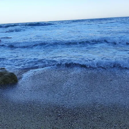 Homestay Black Sea Treasure *