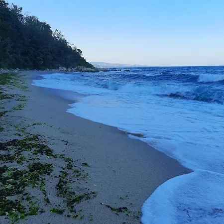 Homestay Black Sea Treasure